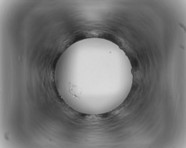 X0000095940331200801110900