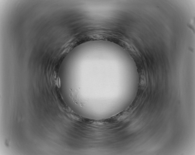X0000095940332200801110900