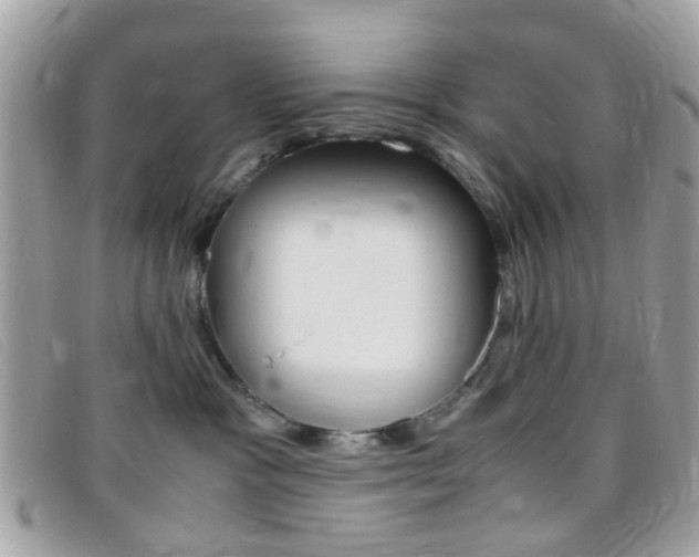 X0000095940333200801110900