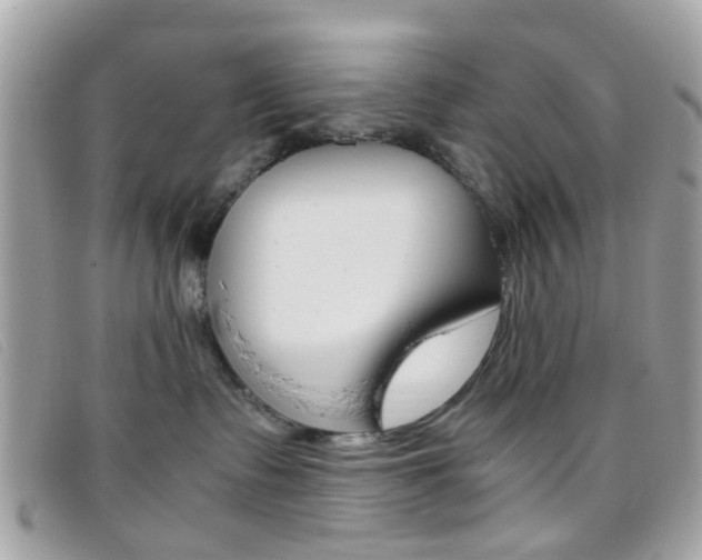 X0000095940335200801110900
