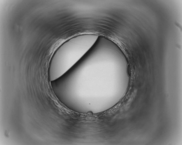 X0000095940337200801110859