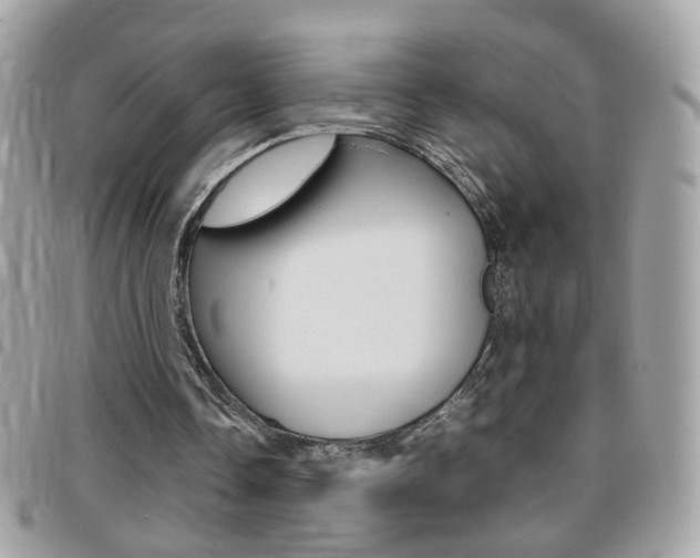 X0000095940338200801110859