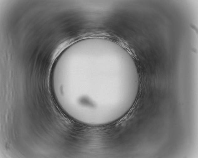 X0000095940340200801110859