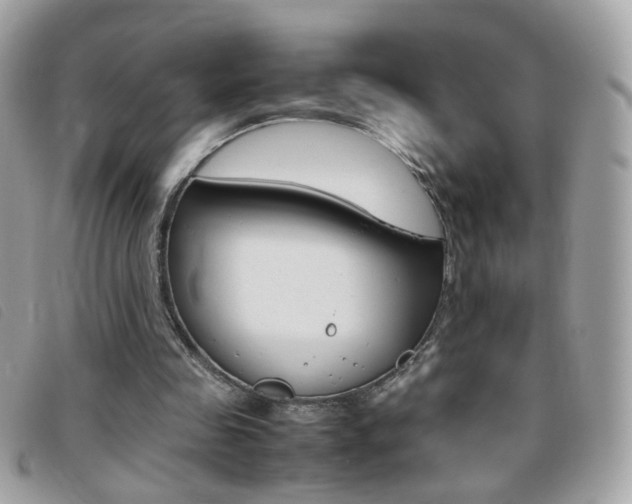 X0000095940341200801110859