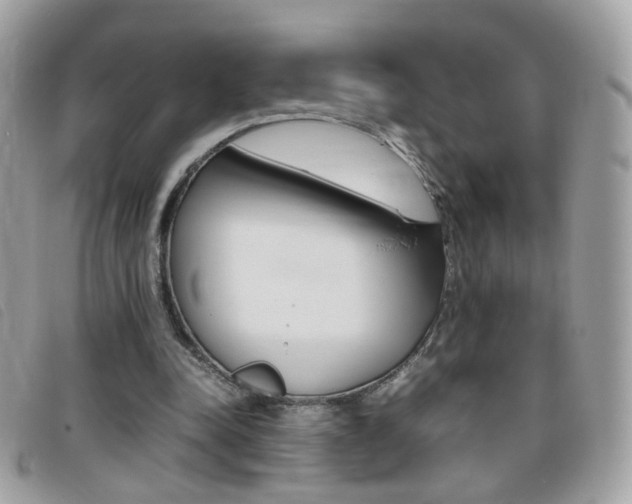 X0000095940342200801110859