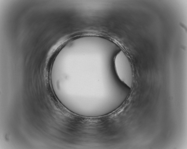 X0000095940343200801110859
