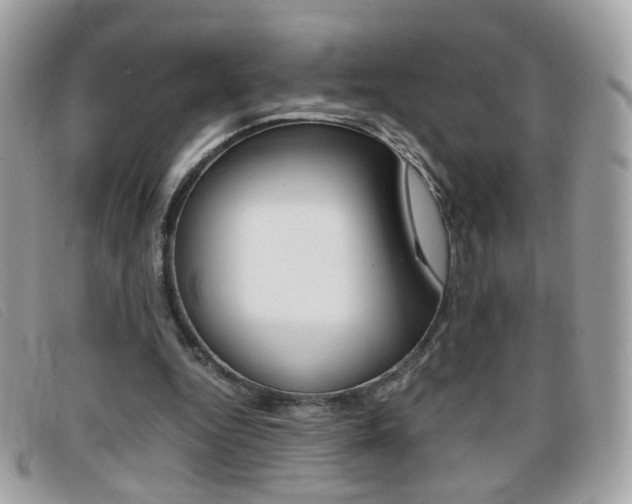 X0000095940344200801110859