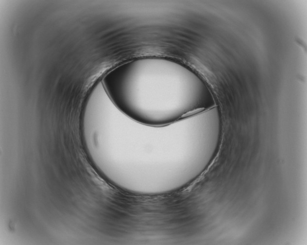 X0000095940345200801110859