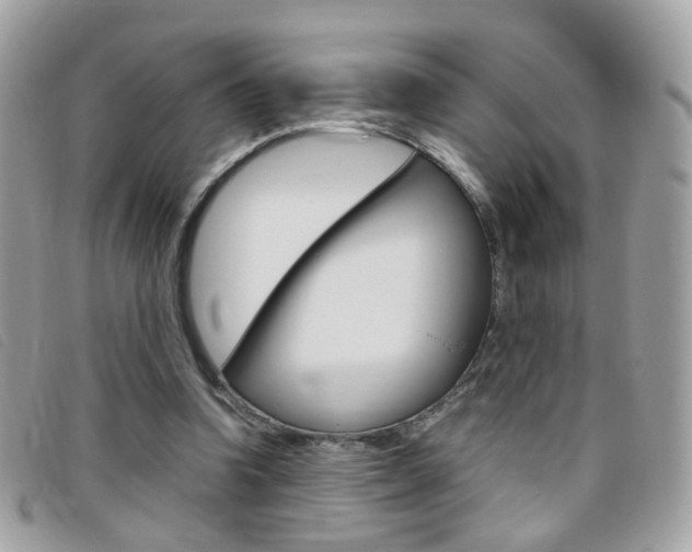 X0000095940346200801110859