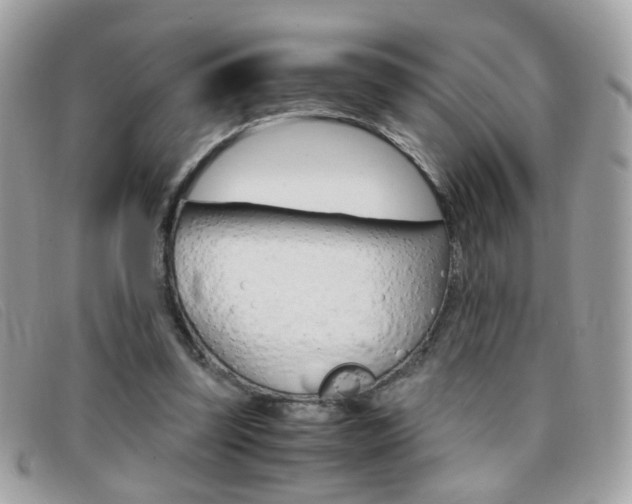 X0000095940347200801110859