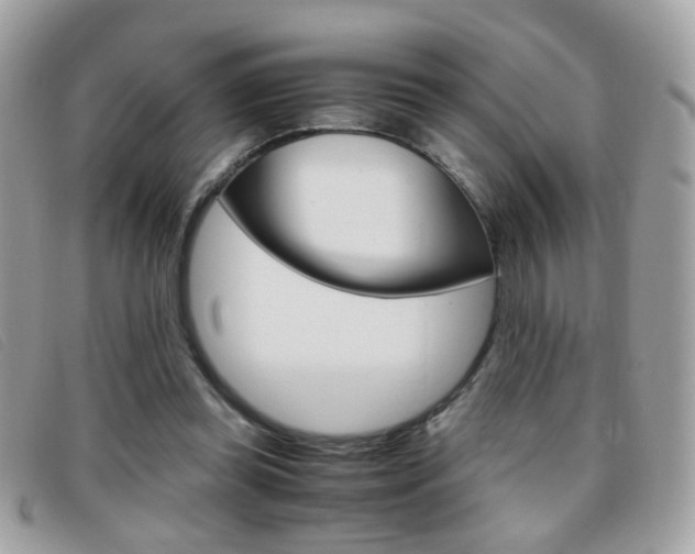 X0000095940349200801110859