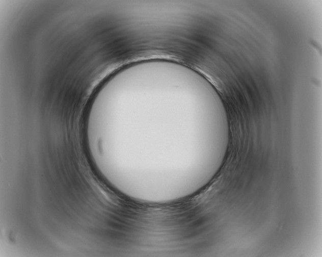 X0000095940350200801110859