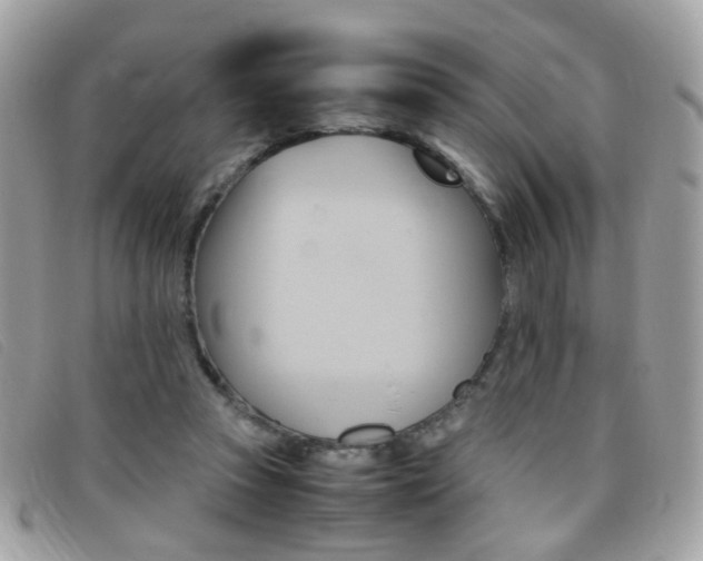 X0000095940353200801110859