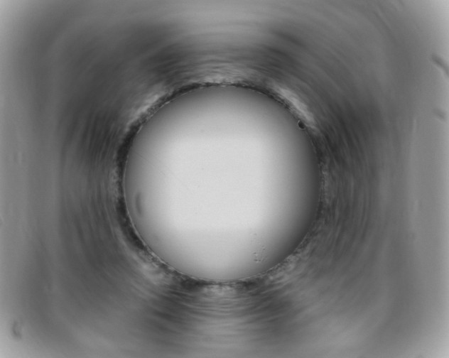 X0000095940354200801110859