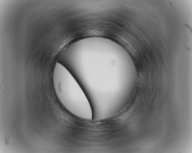 X0000095940355200801110859