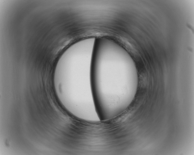 X0000095940358200801110859