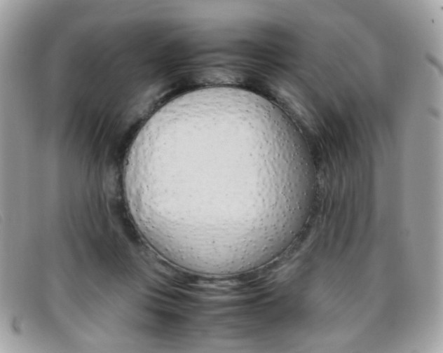 X0000095940359200801110859