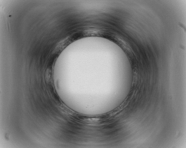 X0000095940361200801110859