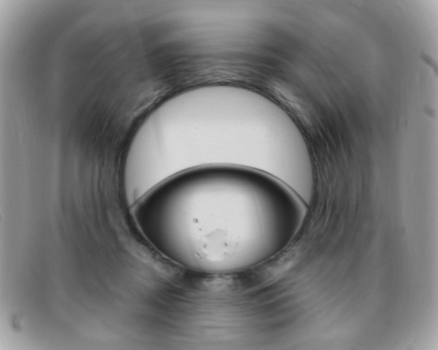 X0000095940362200801110859