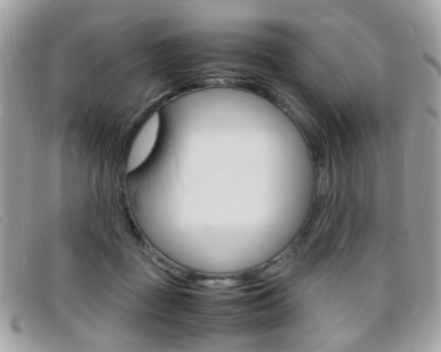 X0000095940363200801110859