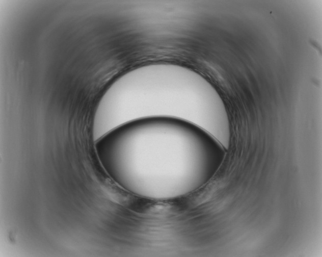 X0000095940364200801110859