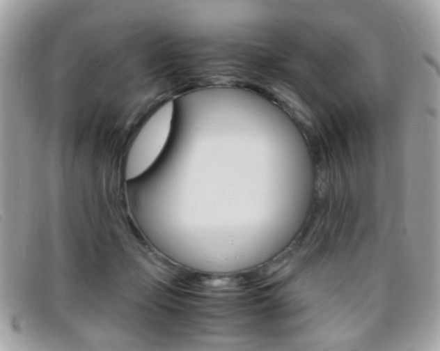 X0000095940365200801110859