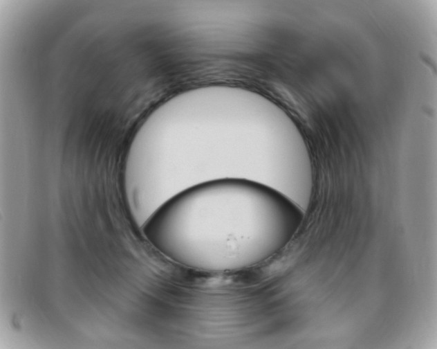 X0000095940366200801110859