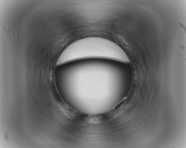 X0000095940368200801110859