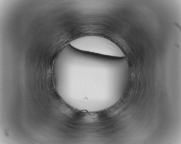 X0000095940369200801110859