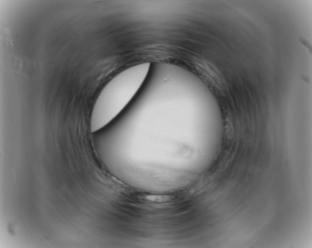 X0000095940371200801110859