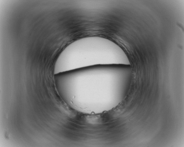 X0000095940373200801110859