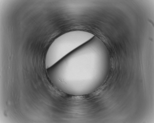 X0000095940378200801110859