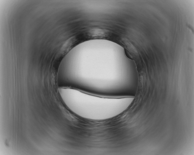 X0000095940379200801110859