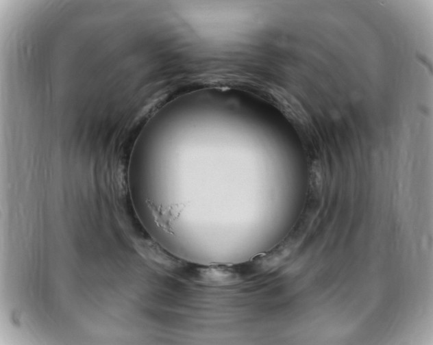 X0000095940380200801110859