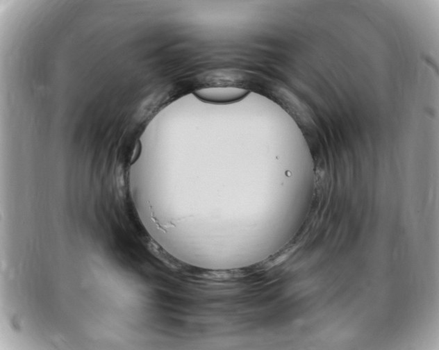 X0000095940381200801110859