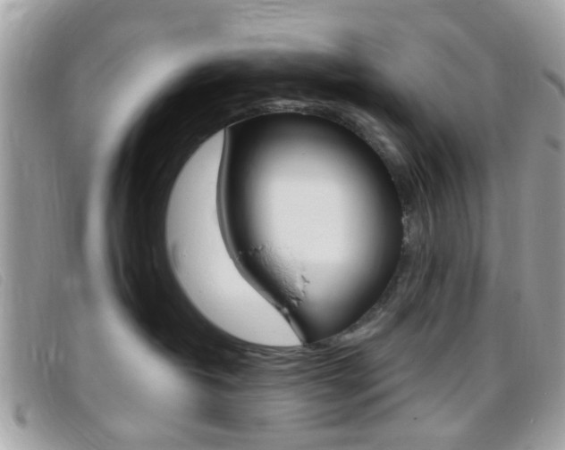 X0000095940382200801110859