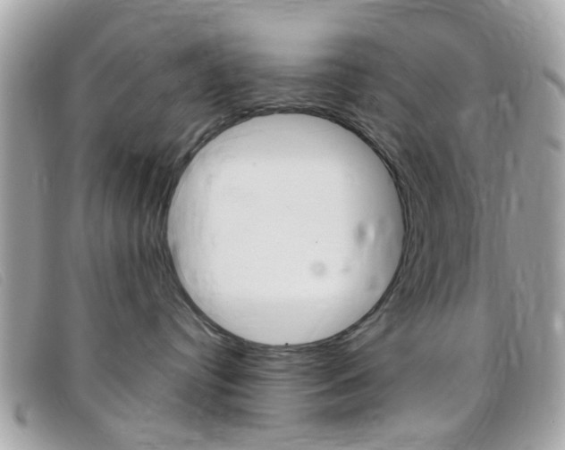 X0000095940384200801110900