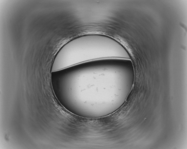 X0000095940385200801110859