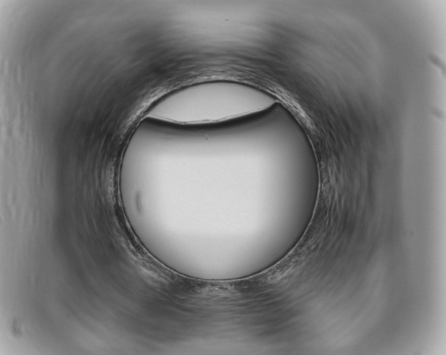 X0000095940386200801110859
