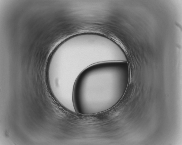 X0000095940387200801110859
