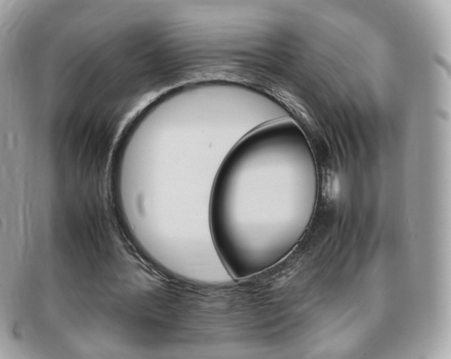 X0000095940388200801110859