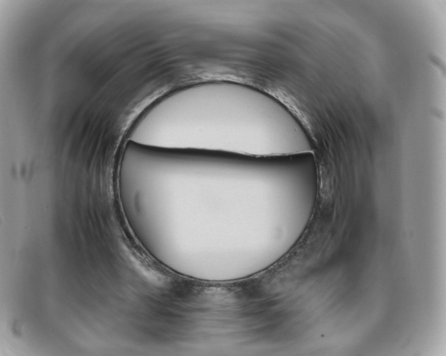 X0000095940390200801110859