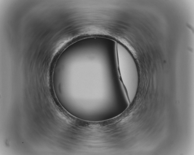 X0000095940391200801110859