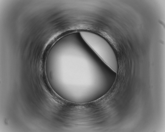 X0000095940392200801110859