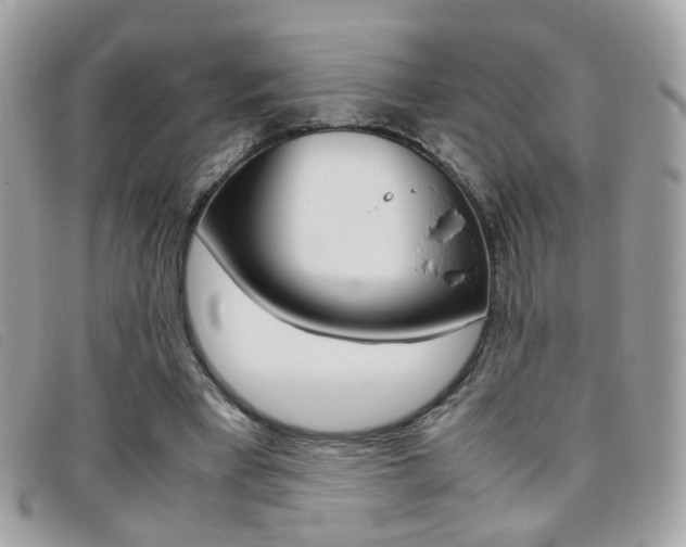 X0000095940393200801110859