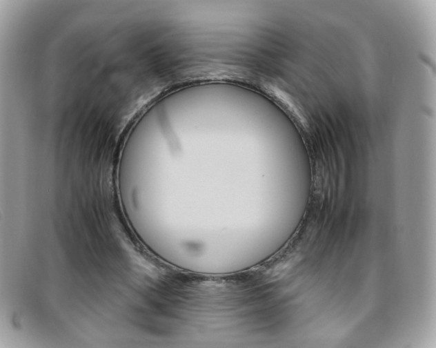 X0000095940394200801110859
