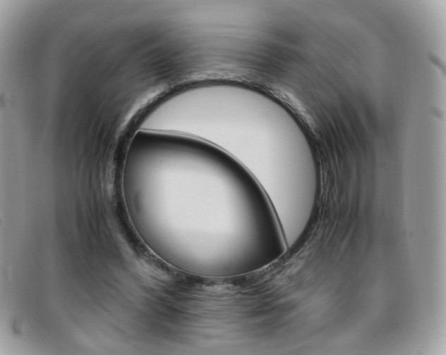 X0000095940396200801110859
