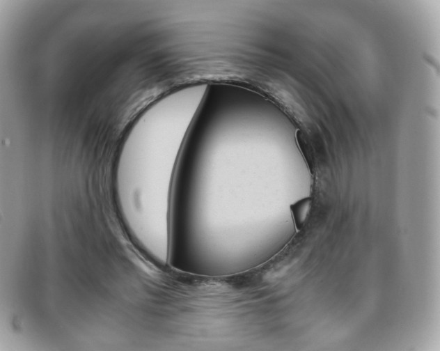X0000095940397200801110859