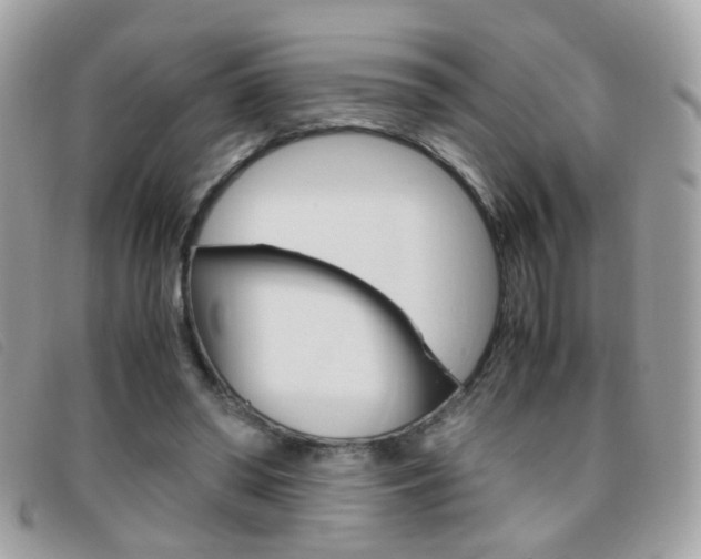 X0000095940398200801110859