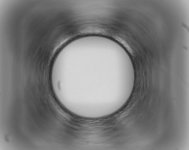 X0000095940399200801110859